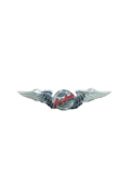 AIR ASIA WING METAL BIG